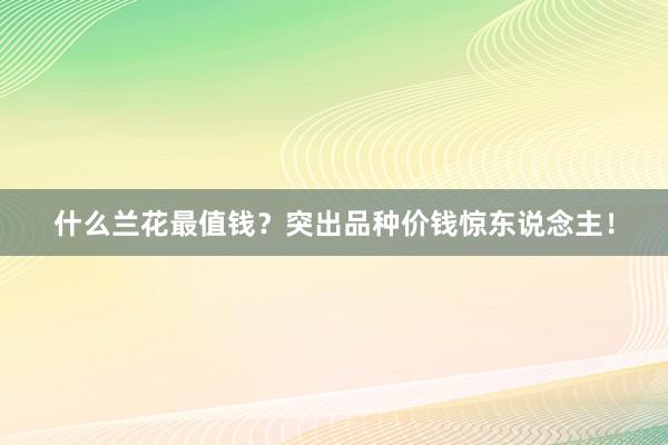 什么兰花最值钱？突出品种价钱惊东说念主！