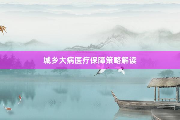 城乡大病医疗保障策略解读