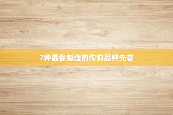 7种最像狐狸的狗狗品种先容