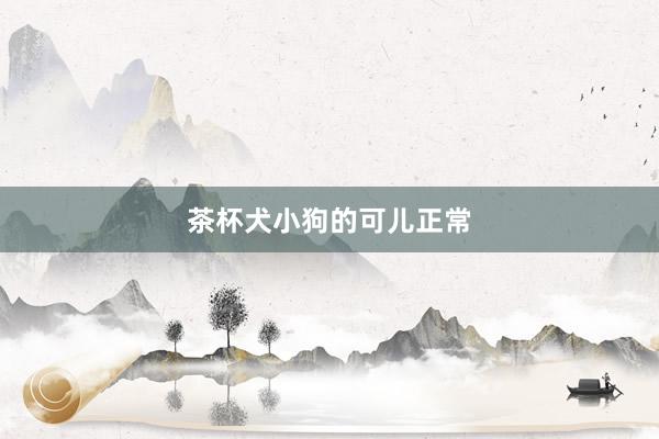 茶杯犬小狗的可儿正常