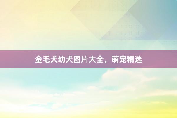 金毛犬幼犬图片大全，萌宠精选